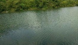 东风水库爆料视频最新,揭秘水库神秘面纱背后的故事